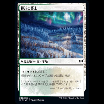 画像1: 極北の並木/Arctic Treeline [KHM]