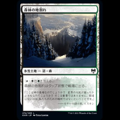 画像1: 森林の地割れ/Woodland Chasm [KHM]