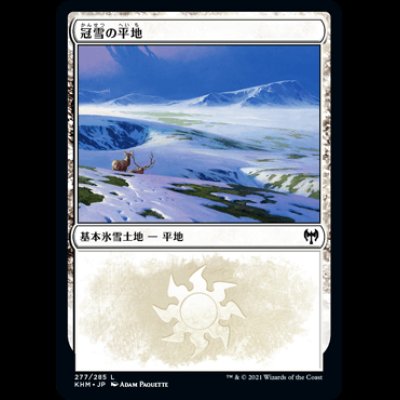 画像1: 冠雪の平地/Snow-Covered Plains(277) [KHM]