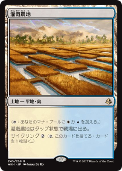 画像1: 灌漑農地/Irrigated Farmland [AKH] (1)