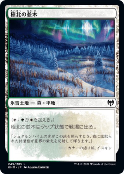 画像1: 極北の並木/Arctic Treeline [KHM] (1)