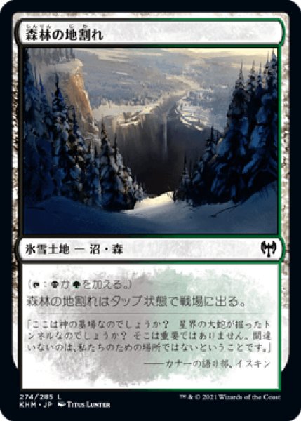 画像1: 森林の地割れ/Woodland Chasm [KHM] (1)